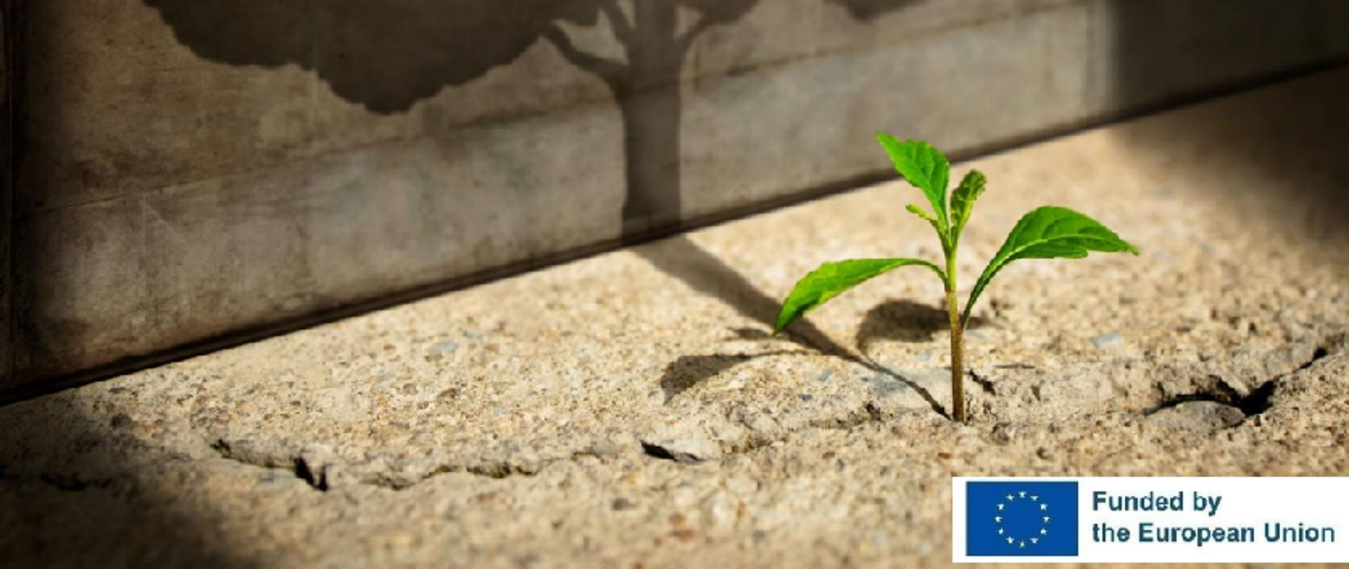 Fragment strony tytułowej raportu OECD/KE/EIPA pt.: Wzmacnianie odporności administracji publicznej po kryzysie COVID-19 za pomocą Wspólnej Metody Oceny CAF"