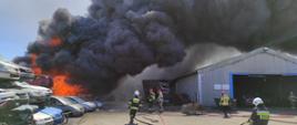 Na zdjęciu po lewej stronie widoczny duży pożar i ogromne kłęby dymu unoszącego się nad stosami pojazdów w stronę hali z dwuspadowym dachem. Przed halą strażacy w czarnych i piaskowych mundurach bojowych w czerwonych i białych hełmach na głowach przeciągają węże strażackie. 