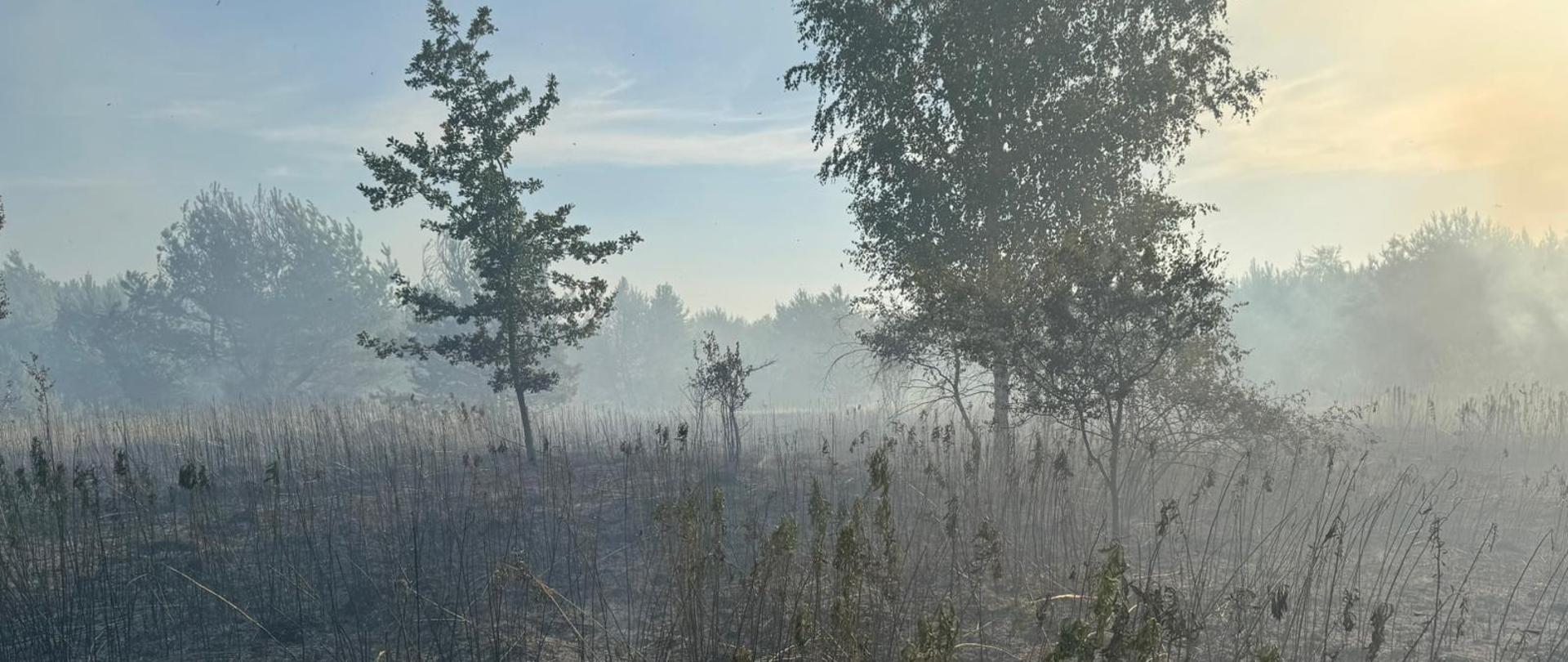 Działania ratownicze w miejscowości Sichów Duży.