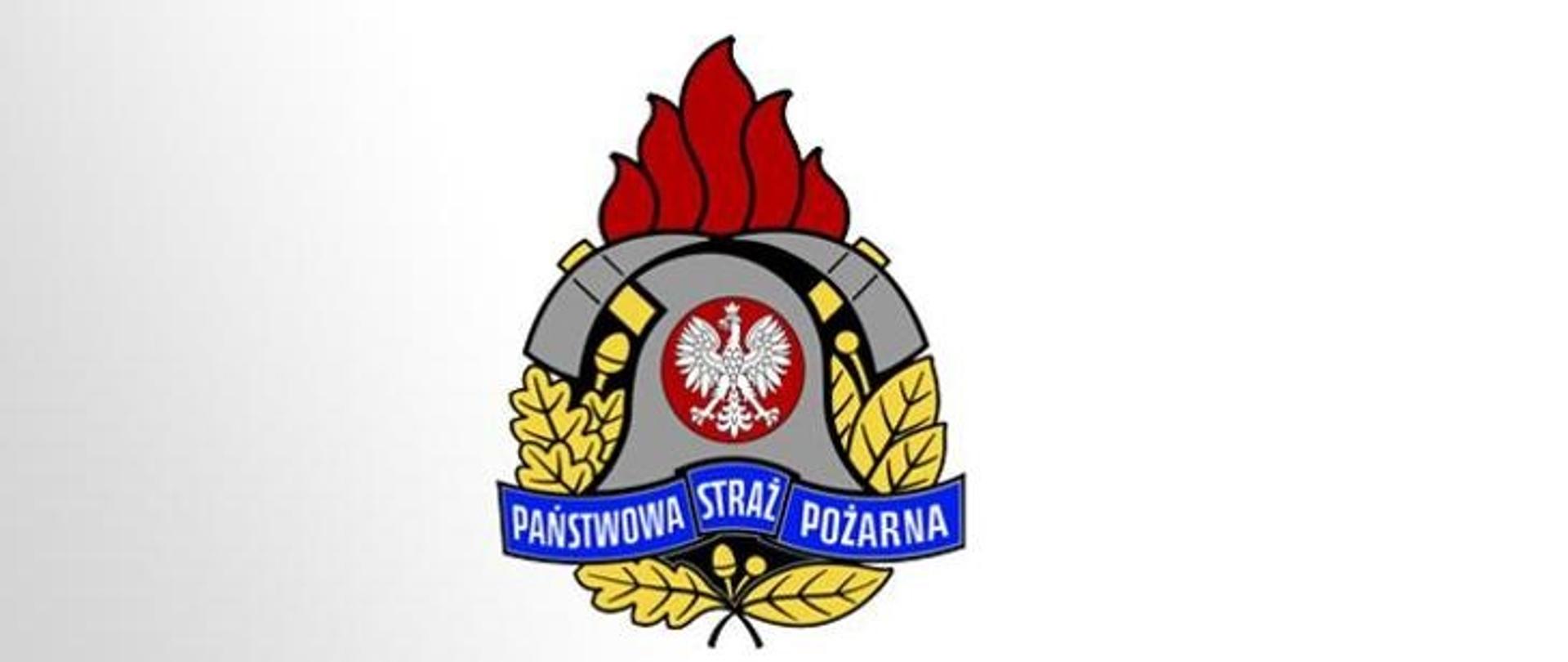 Zdjęcie przedstawia logo PSP, hełm strażacki z białym orłem na czerwonym tle usadowiony na żółtych liściach dębu, pod spodem na niebieskim tle napis Państwowa Straż Pożarna. Za hełmem dwa skrzyżowane toporki, nad którymi znajduje się czerwony płomień.