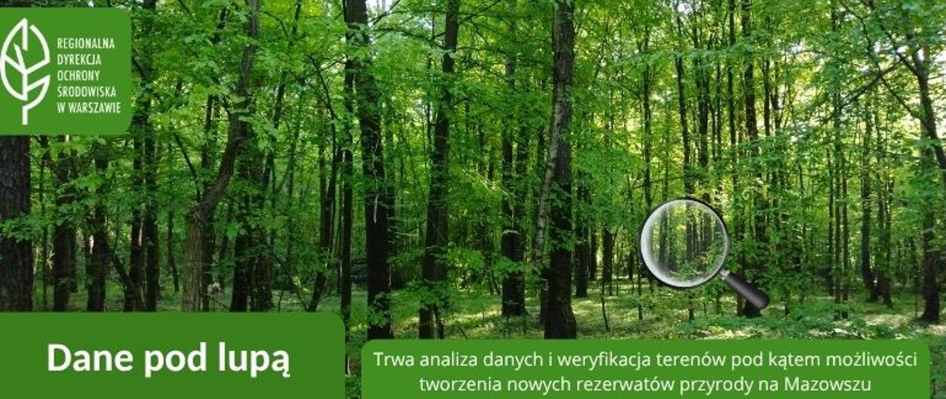 Las, lupa, logo i napis: Dane pod lupą. Trwa analiza danych i weryfikacja terenów pod katem możliwości tworzenia nowych rezerwatów przyrody na Mazowszu.