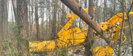 Wypadek awionetki AEROPRAKT A – 22 w miejscowości Słonawy