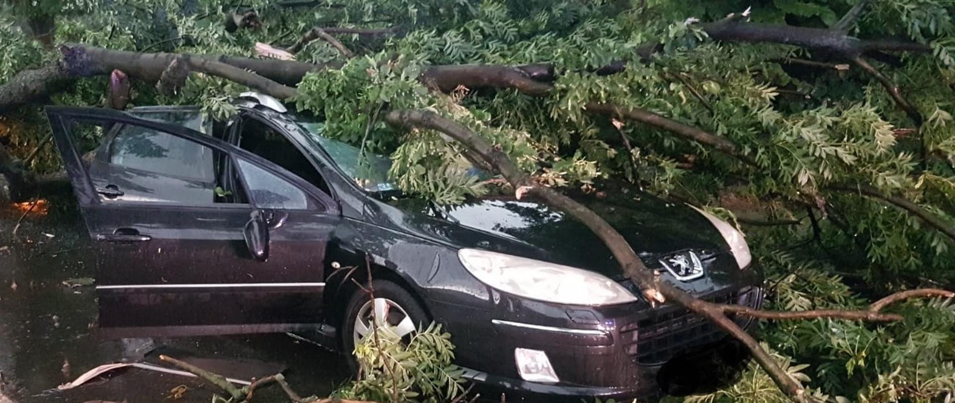 Skutki burzy w powiecie raciborskim