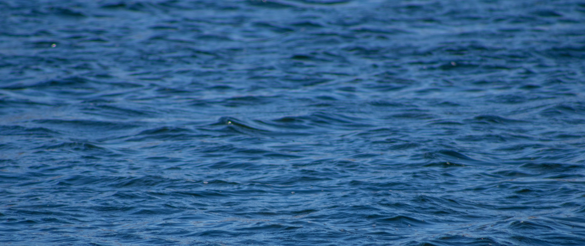 Aktualizacja procedury monitoringowej z alertami
