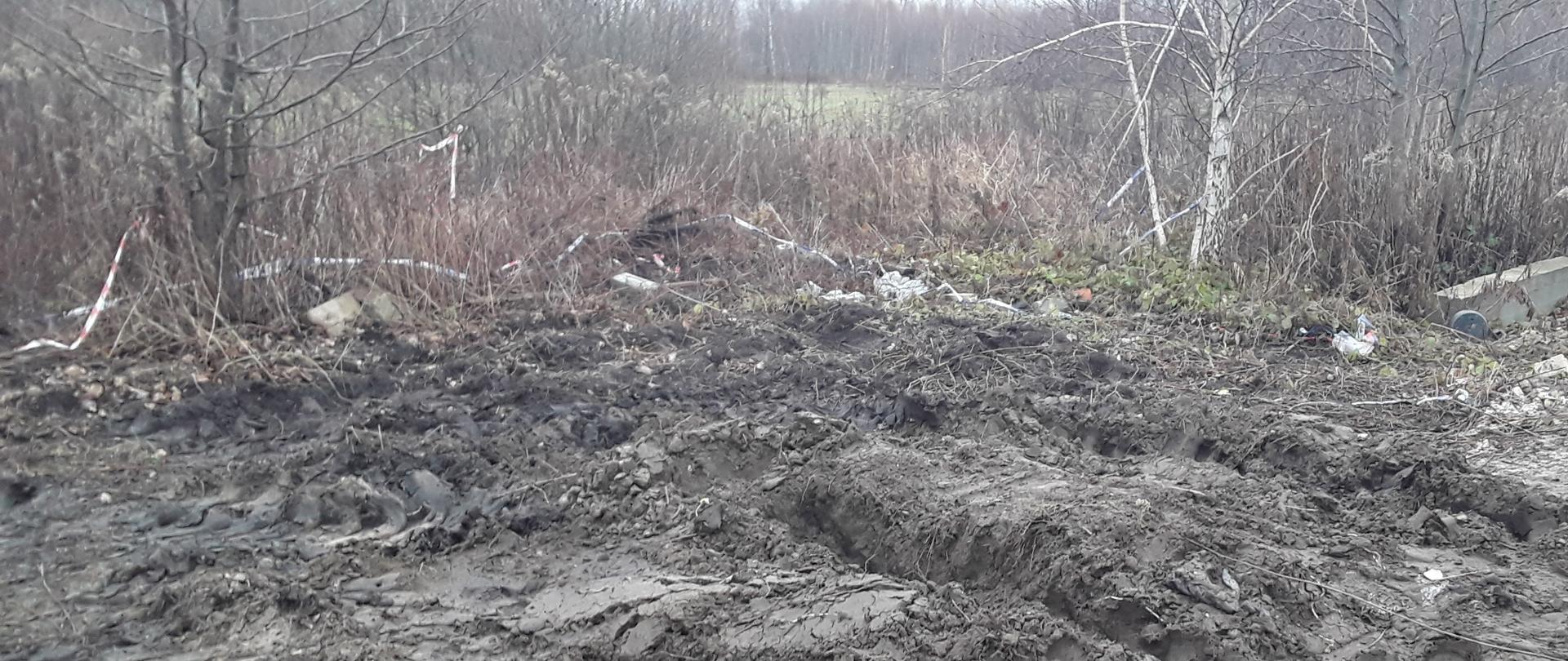 Zniwelowana na powierzchni kilkunastu metrów kwadratowych ziemia. Na niej były nielegalnie zgromadzone odpady, które zostały usunięte. W tle las.