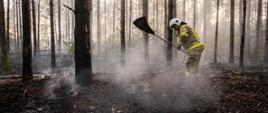 Działania gaśnicze na terenie lasu (powiat hajnowski)