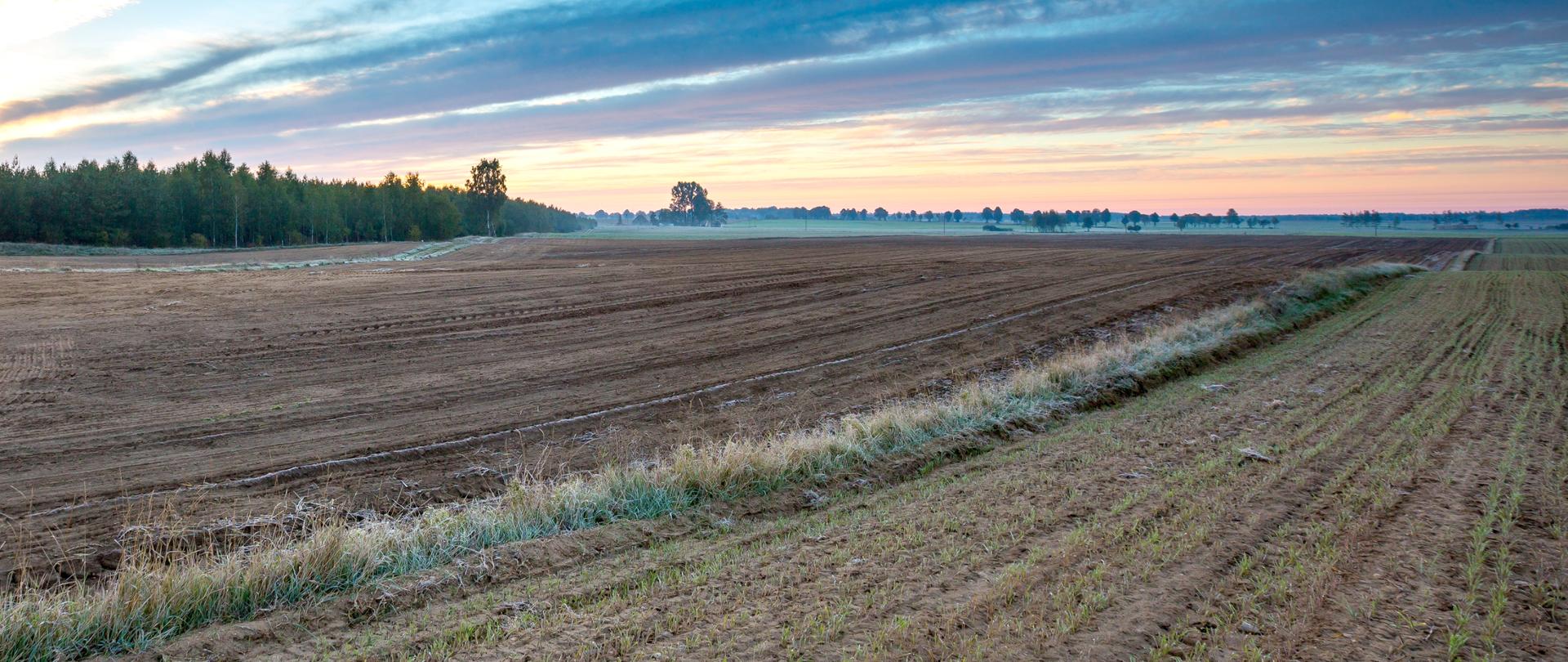 zaorane_pole_jesień_2