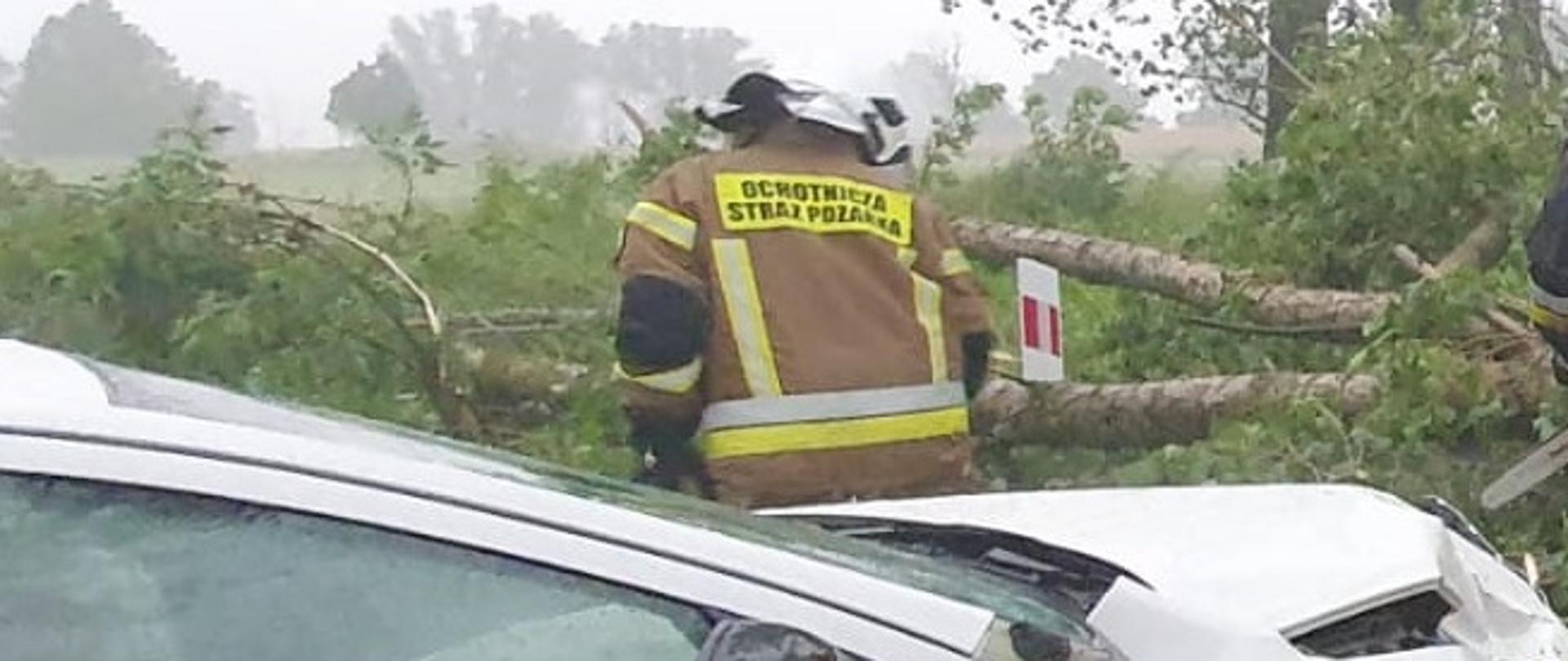 Zdjęcie obrazuje strażaka samochód i powalone drzewo