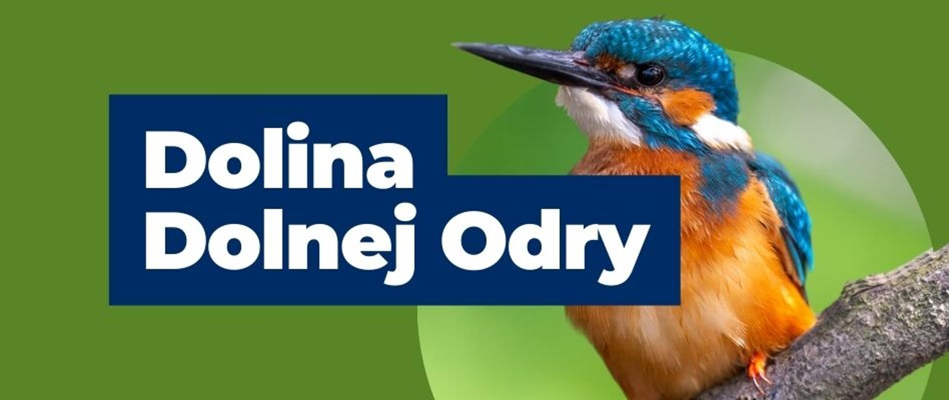 baner dolina dolnej odry 