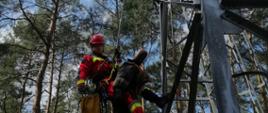 Na zdjęciu widać ratownika wysokościowego przy wieży obserwacyjnej. Ratownik dokonuje ewakuacji manekina z wysokości. Niebo lekko zachmurzone. W tle drzewa iglaste. 