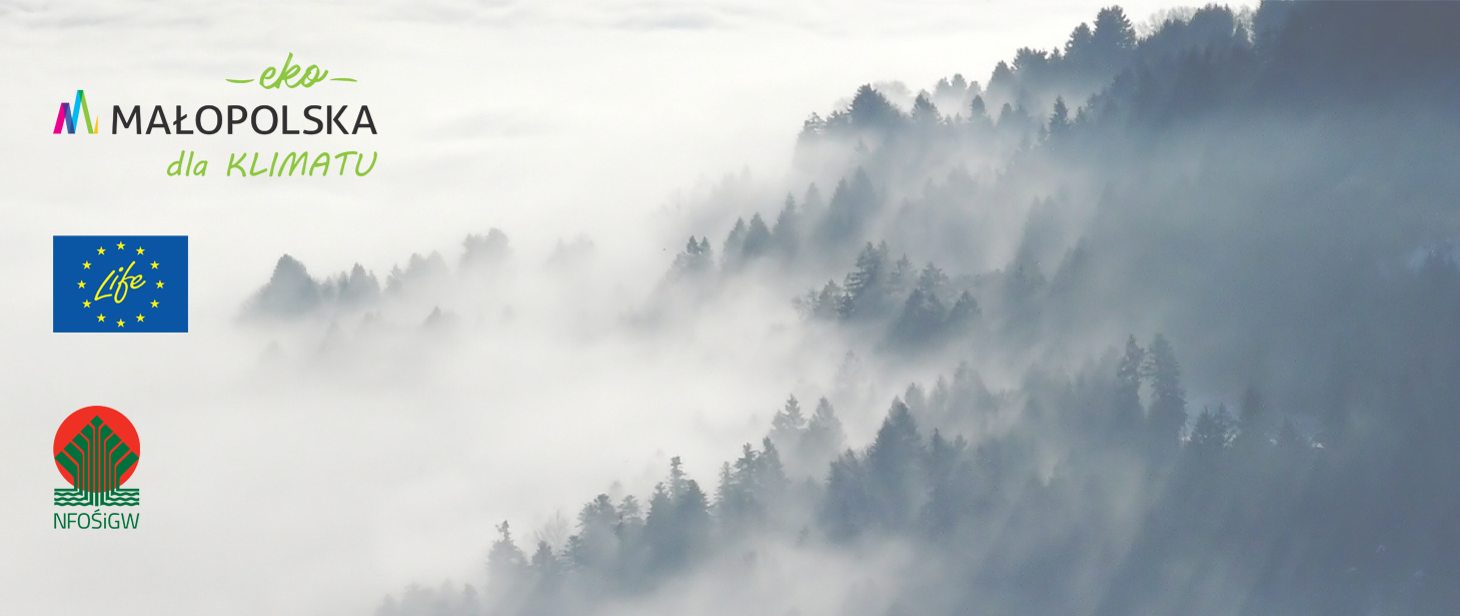 Góry, mgła, z trzema logotypami projektu. 