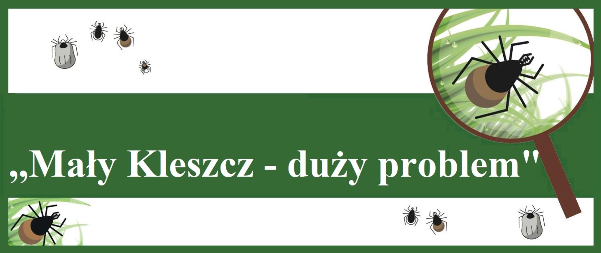 ,,Mały kleszcz - duży problem"