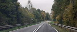 Na zdjęciu widoczna droga jednojezdniowa, biegnąca przez las. Przy drodze znak z nazwą miejscowości Kosyń.