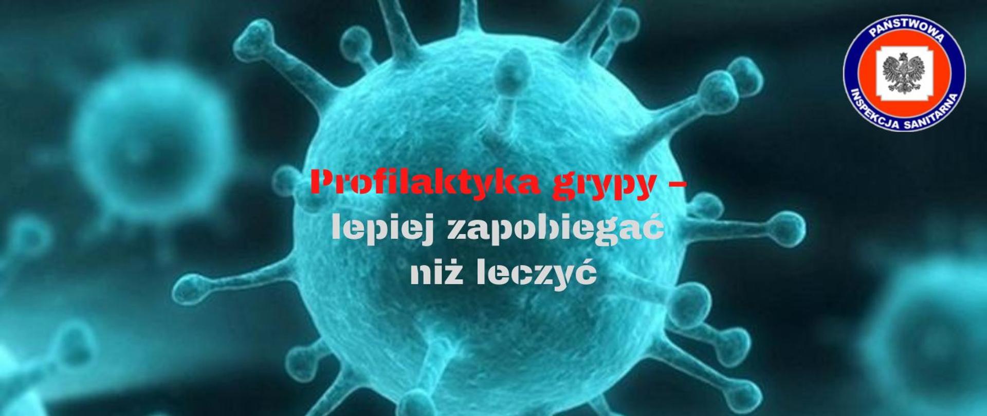 Profilaktyka grypy – lepiej zapobiegać niż leczyć