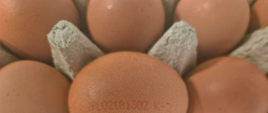 Jajka z chowu ściółkowego - nr partii