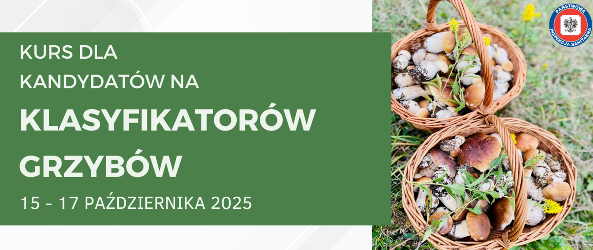 Grafika przedstawia zdjęcie koszów z grzybami