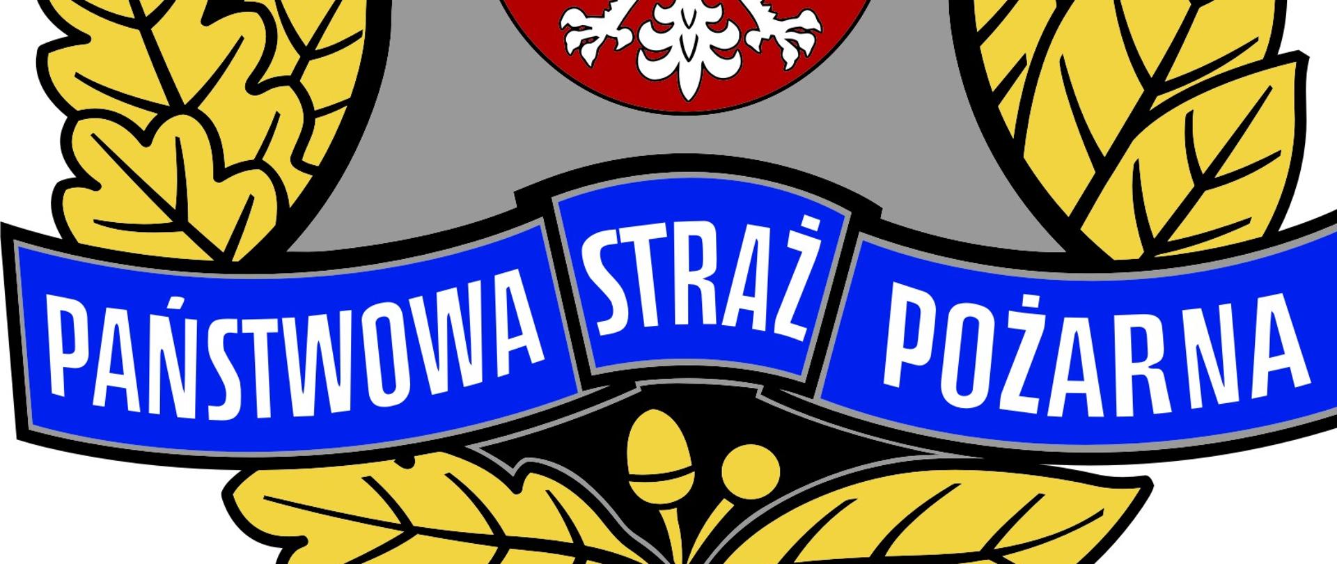 Logo przedstawia szary hełm strażacki, czerwony płomień, toporki i napis Państwowa Straż Pożarna