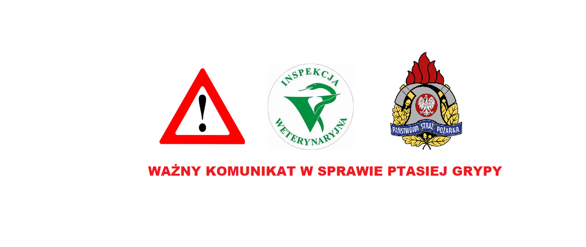 Ważny komunikat o ptasiej grypie