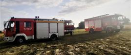 Pożary w czasie żniw. Ściernisko po ugaszeniu pożaru. Stoją na nim trzy wozy straży pożarnej, biorące udział w akcji. W tle drzewa. Niebo jest zachmurzone.