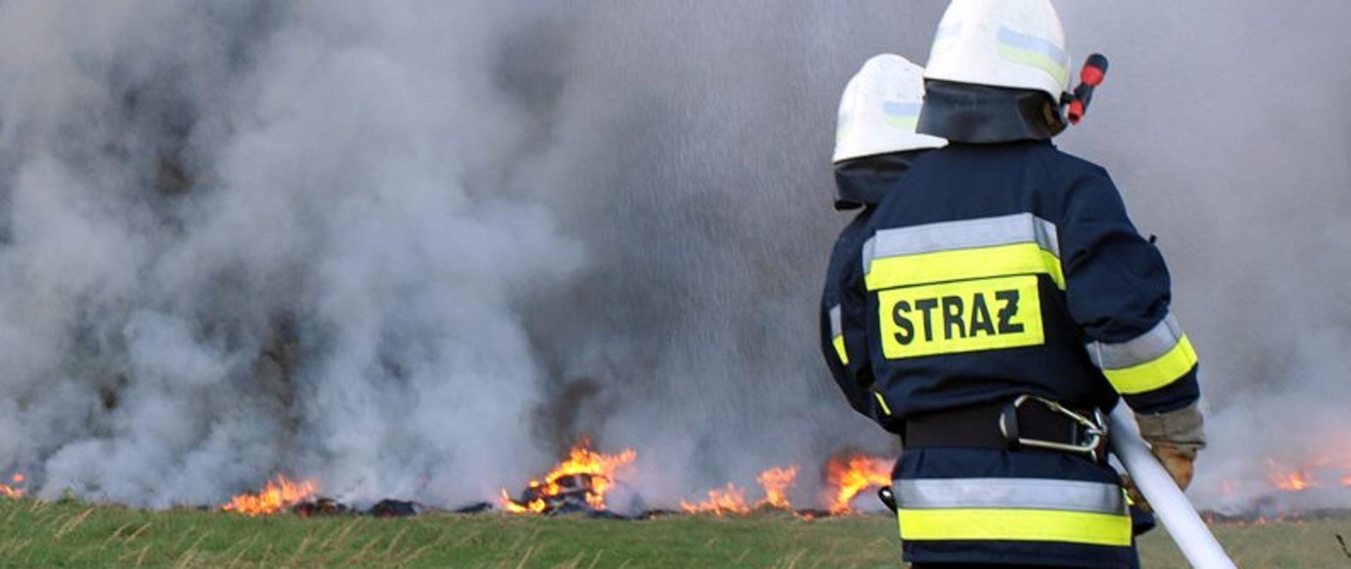 Na zdjęciu po prawej stronie widać dwóch strażaków stojących jeden przed drugim. Strażacy są odwróceni tyłem. Strażacy są ubrani w ubrania specjalne (nomexy). Na plecach bluzy jednego ze strażaków widać napis straż. Napis jest czarny na żółtym tle. Jeden ze strażaków trzyma wąż gaśniczy. Strażacy gaszą pożar trawy.