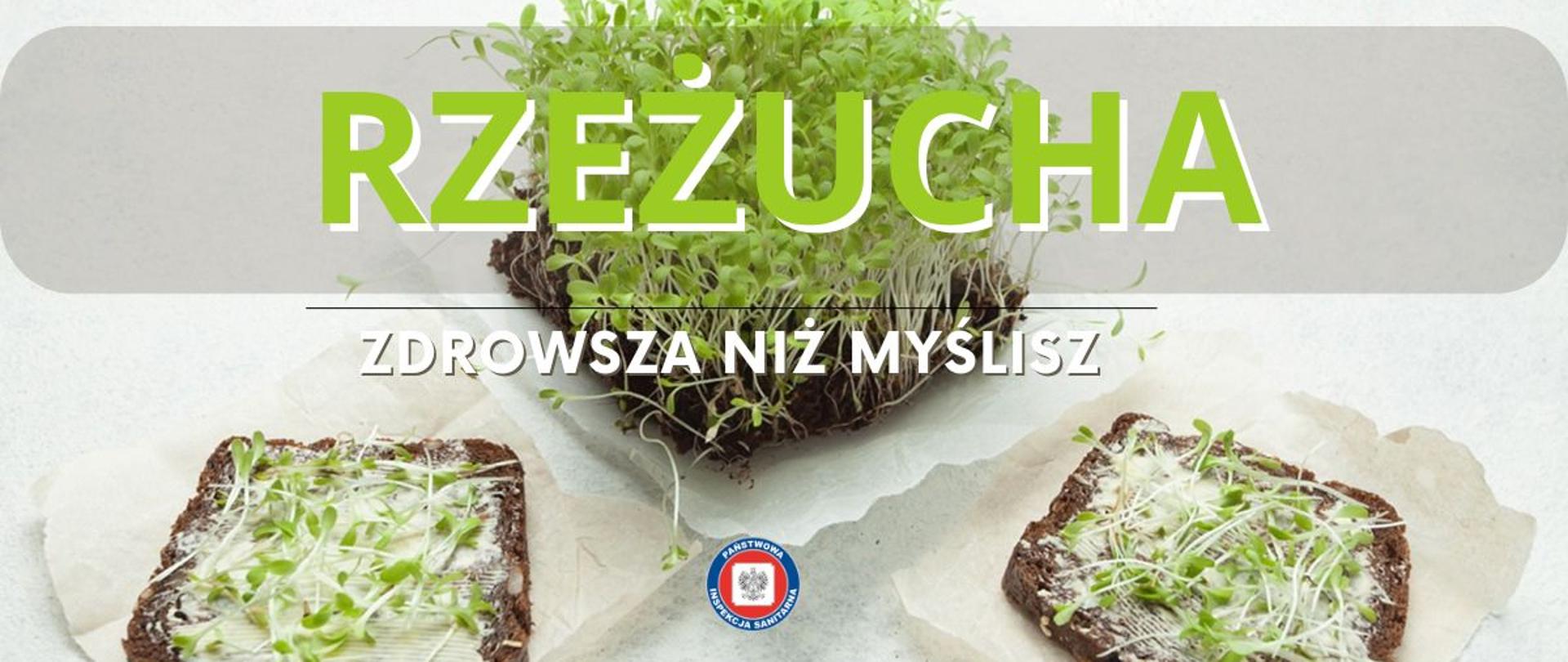 Kanapki z ciemnego chleba posypane rzeżuchą