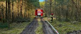 Widok z poziomu ziemi na leśną drogę z koleinami. Na środku stoi czerwony wóz strażacki, a dwóch strażaków w hełmach i ubraniach ochronnych pracuje przy rozwiniętym wężu gaśniczym.