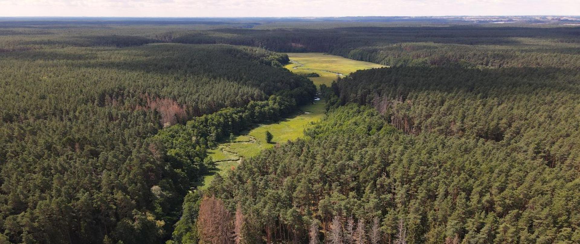 Obszar Natura 2000 Bory Tucholskie - rezerwat przyrody Bagna nad Stążką