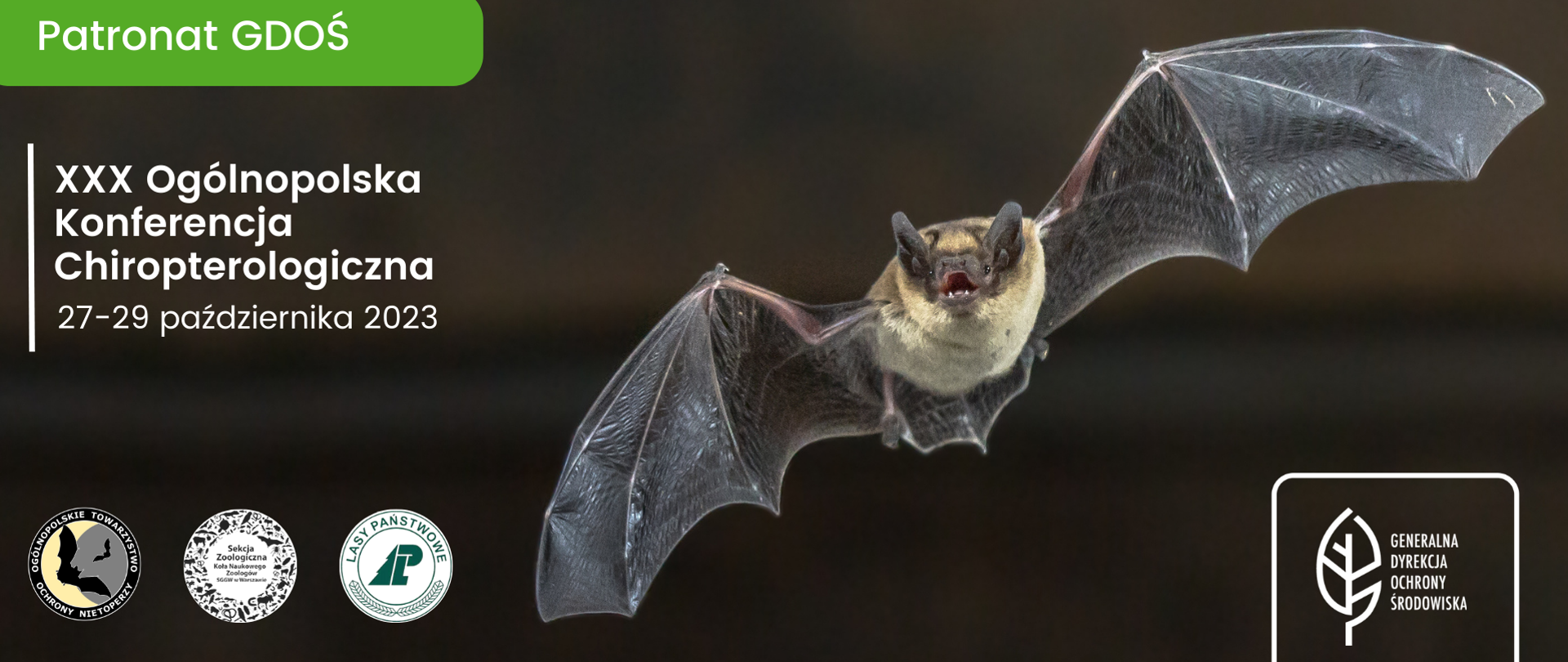 Na czarnym tle lecący nietoperz. Od góry napisy: Patronat GDOŚ. XXX Ogólnopolska Konferencja Chiropterologiczna. 27-29 października 2023.
Na dole strony logotypy: Ogólnopolskie Towarzystwo Ochrony Nietoperzy, Koło Naukowe Zoologów SGGW w Warszawie. Lasy Państwowe, Generalna Dyrekcja Ochrony Środowiska. 