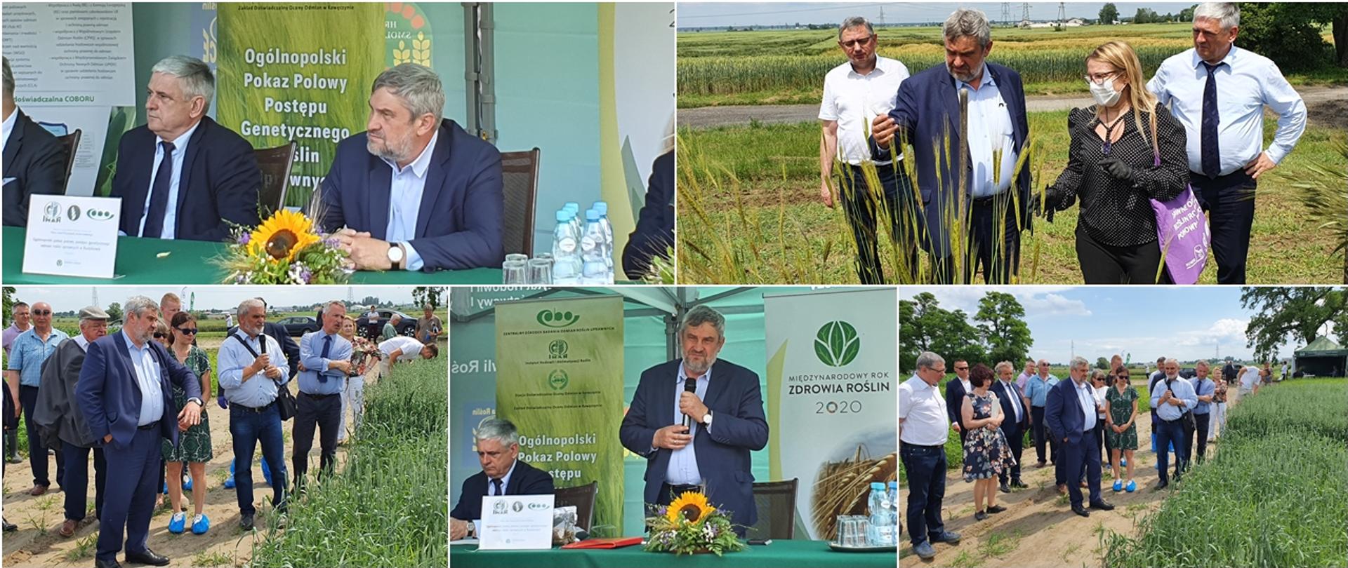 Ogólnopolski pokaz polowy postępu odmianowego roślin uprawnych W RADZIKOWIE