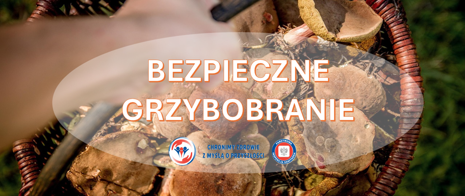 Kosz wypełniony świeżo zebranymi borowikami trzymany przez osobę w lesie. Na środku znajduje się napis ‘Bezpieczne grzybobranie’, a pod nim dwa logotypy Państwowej Inspekcji Sanitarnej wraz z hasłem: "Chronimy zdrowie z myślą o przyszłości"