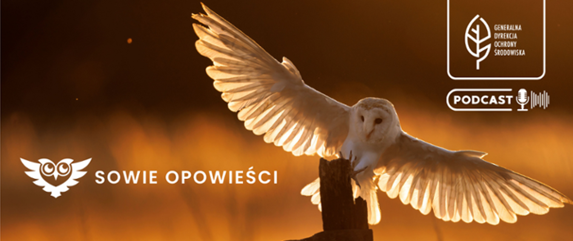 Na brązowym tle widać jasnego, dużego ptaka - sowa z rozpostartymi skrzydłami. W prawym górnym rogu logo Generalnej Dyrekcji Ochrony Środowiska, poniżej grafika mikrofonu i napis: podcast. Na środku zdjęcia grafika sowy oraz napis: Sowie opowieści
