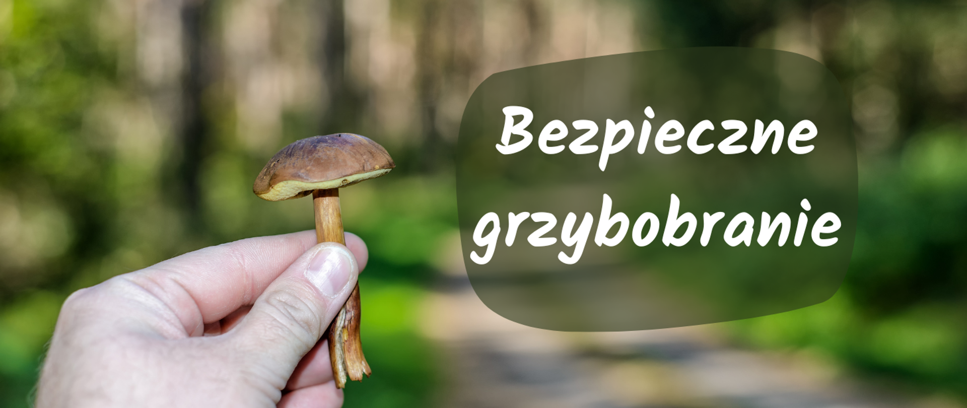 logo_bezpieczne_grzybobranie