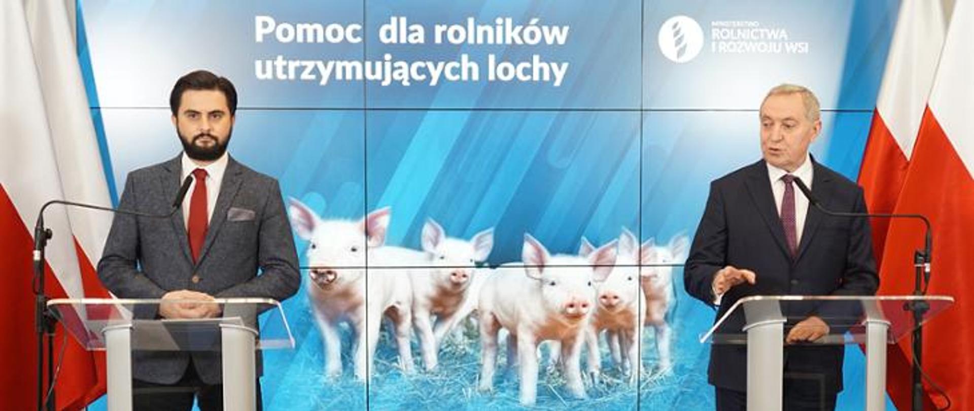 Pomoc dla producentów trzody chlewnej
