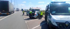 Miejsce kontroli ciężarówek przy autostradzie A2 w Gołuskach. Po prawej stronie, w pobliżu zatrzymanego zestawu, stoją oznakowane radiowozy ITD i Policji. Policjanci prowadzą czynności z nietrzeźwym kierowcą ujętym przez inspektorów wielkopolskiej ITD.