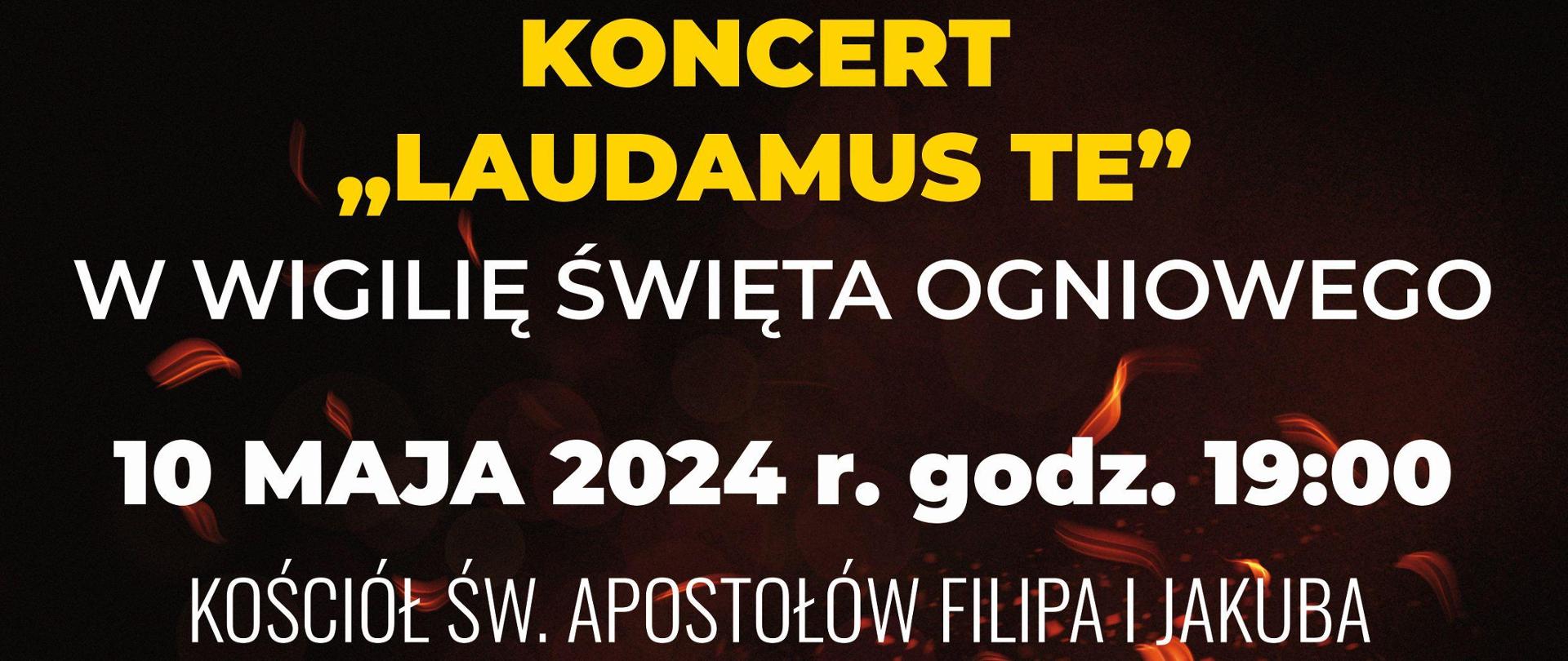 Białe i żółte napisy obwieszczające obchody Święta Ogniowego w Żorach. W tle ciemna grafika imitująca płomienie. W stopce loga organizatorów.