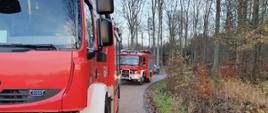 Na zdjęciu widoczne są czerwone samochody straży pożarnej na drodze leśnej 