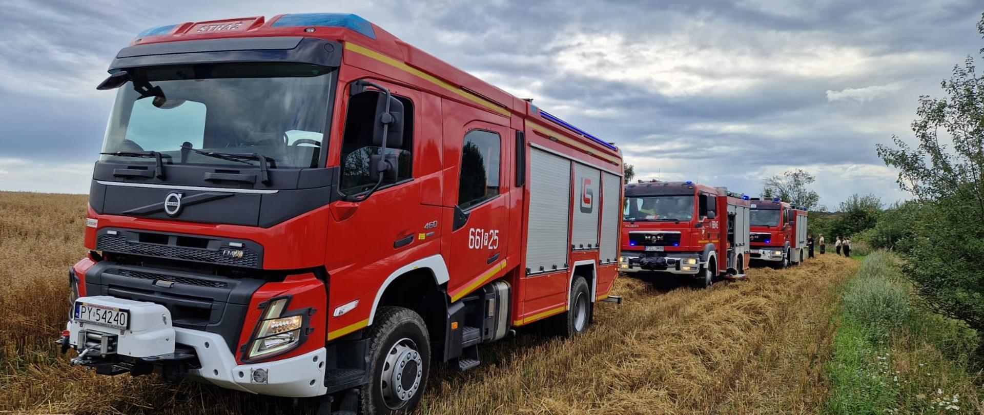 Zastępy PSP i OSP podczas zdarzenia