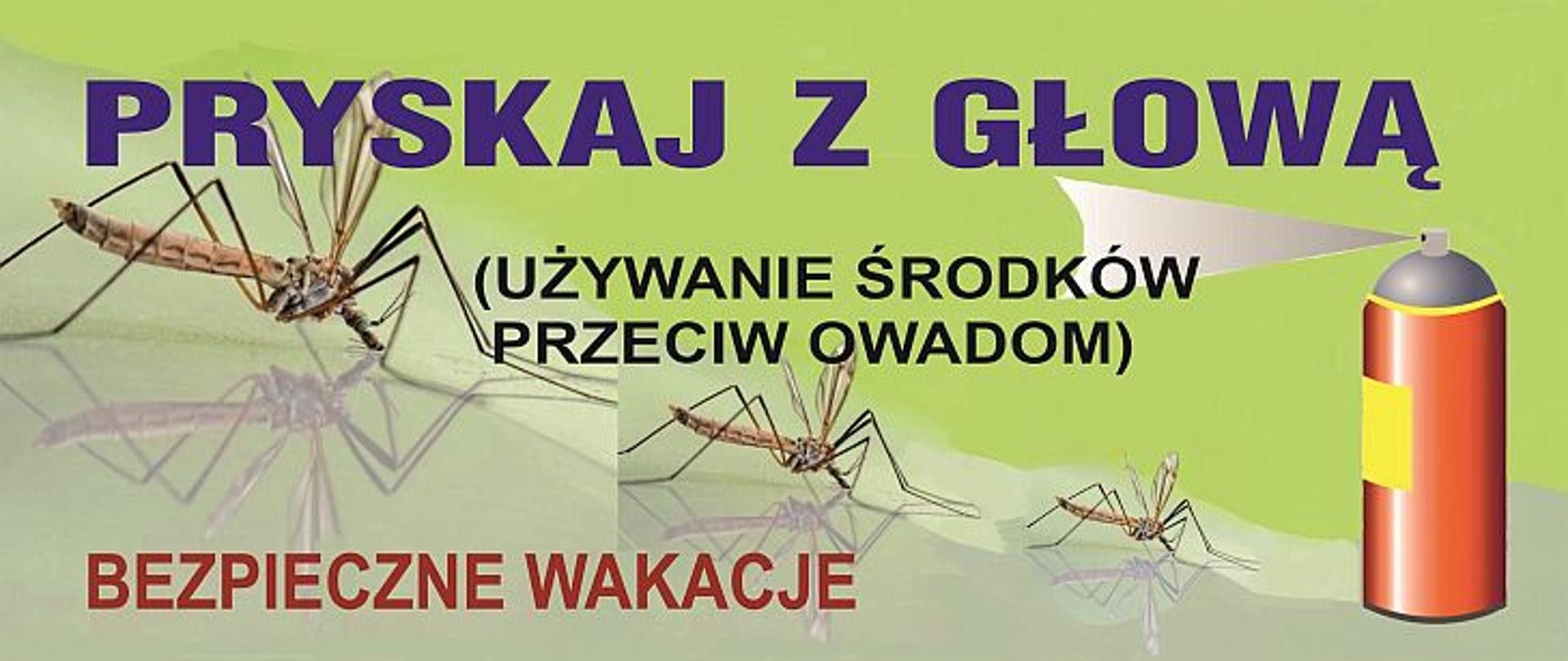 Na zielonym tle znajdują się trzy komary oraz środek biobójczy. Na górze widnieje napis: pryskaj z głową, na środku: używanie środków przeciw owadom, na dole: bezpieczne wakacje.