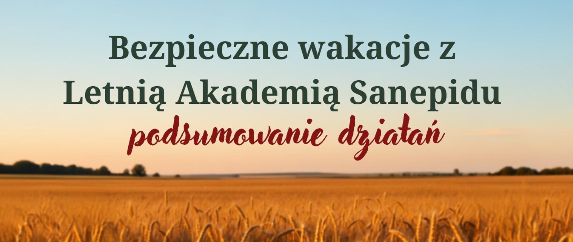 Grafika - bezpieczne wakacje - podsumowanie działań.jpg