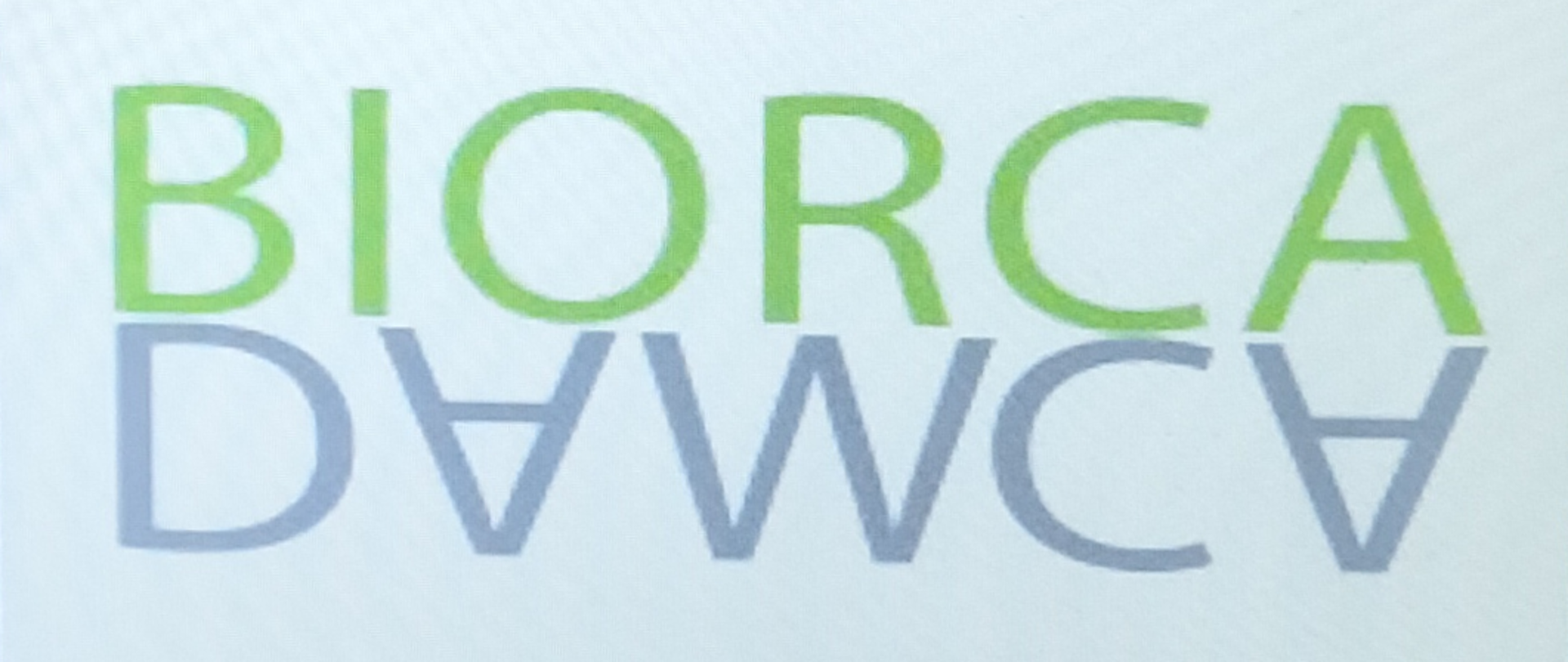 na białym tle napis biorca, pod spodem odwrócony dawca