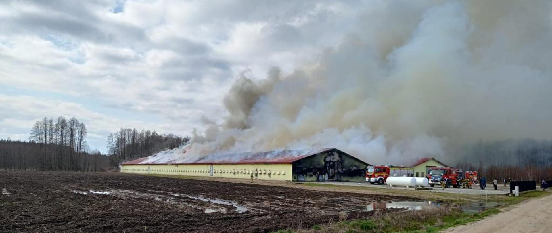 Pożar budynku inwentarskiego w miejscowości Dołki