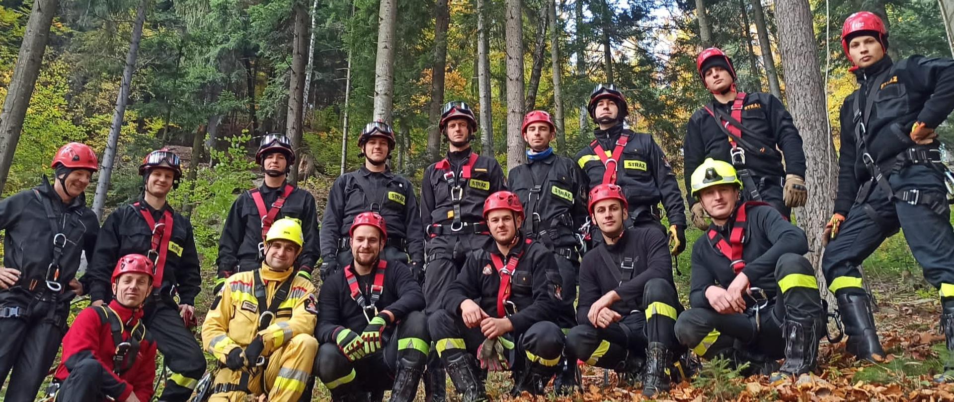 Szkolenie z zakresu ewakuacji z drzew