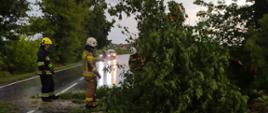 Na zdjęciu strażacy usuwają złamane drzewo z drogi