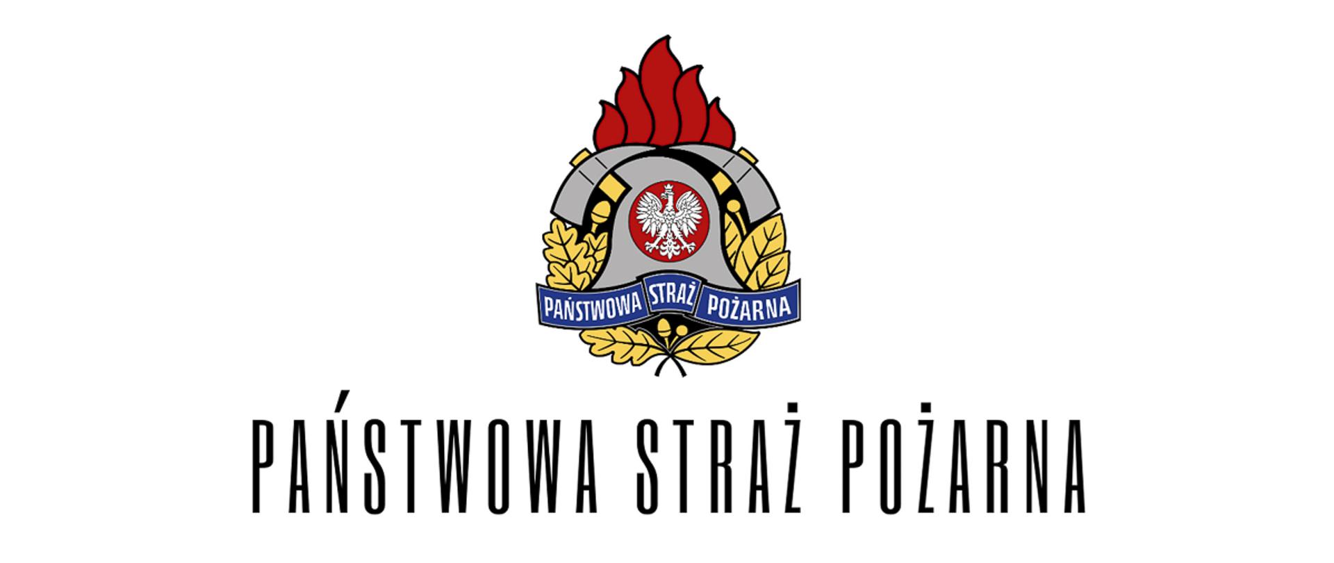 Państwowa straż pożarna