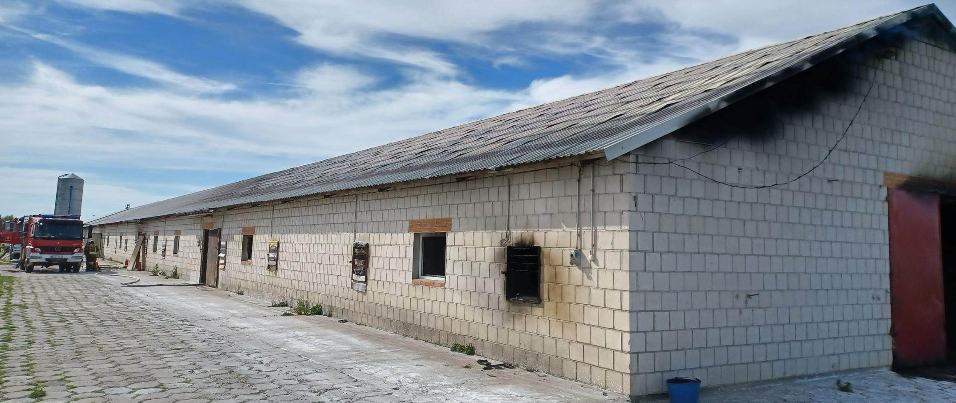 Na zdjęciu widać budynek inwentarski z białych pustaków. Dach pokryty jest blachą. Na elewacji budynku widać okopconą ścianę. Przed budynkiem na betonie oraz trelinkach z betonu stoi czerwony samochód strażacki. Jest widno.
