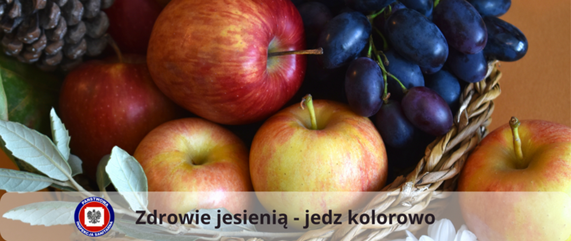 W wiklinowym koszyku ozdobionym zieloną gałązką i szyszką znajdują się kolorowe owoce - cztery jabłka i kiść ciemnych winogron. Obok koszyka leży jedno jabłko. Pod spodem jasny przezroczysty pasek z napisem Zdrowie jesienią - jedz kolorowo, z lewej strony paska logo Państwowej Inspekcji Sanitarnej.