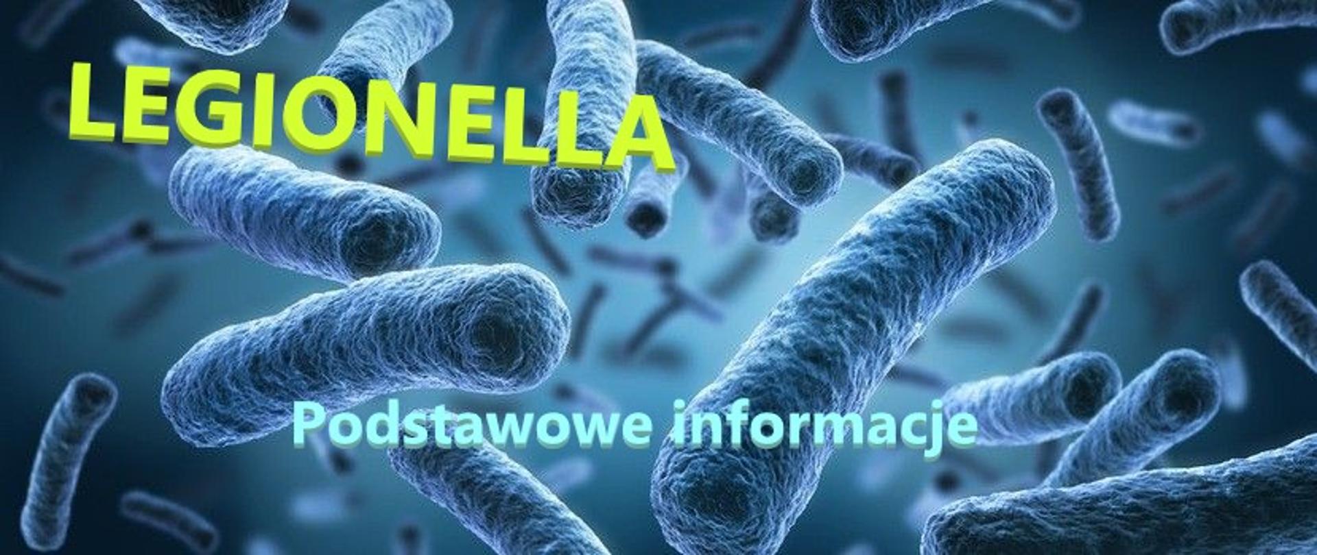 Legionella podstawowe informacje