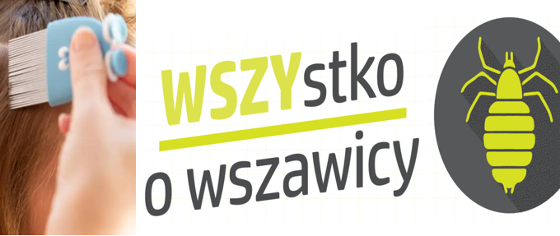 Wszystko o wszawicy
