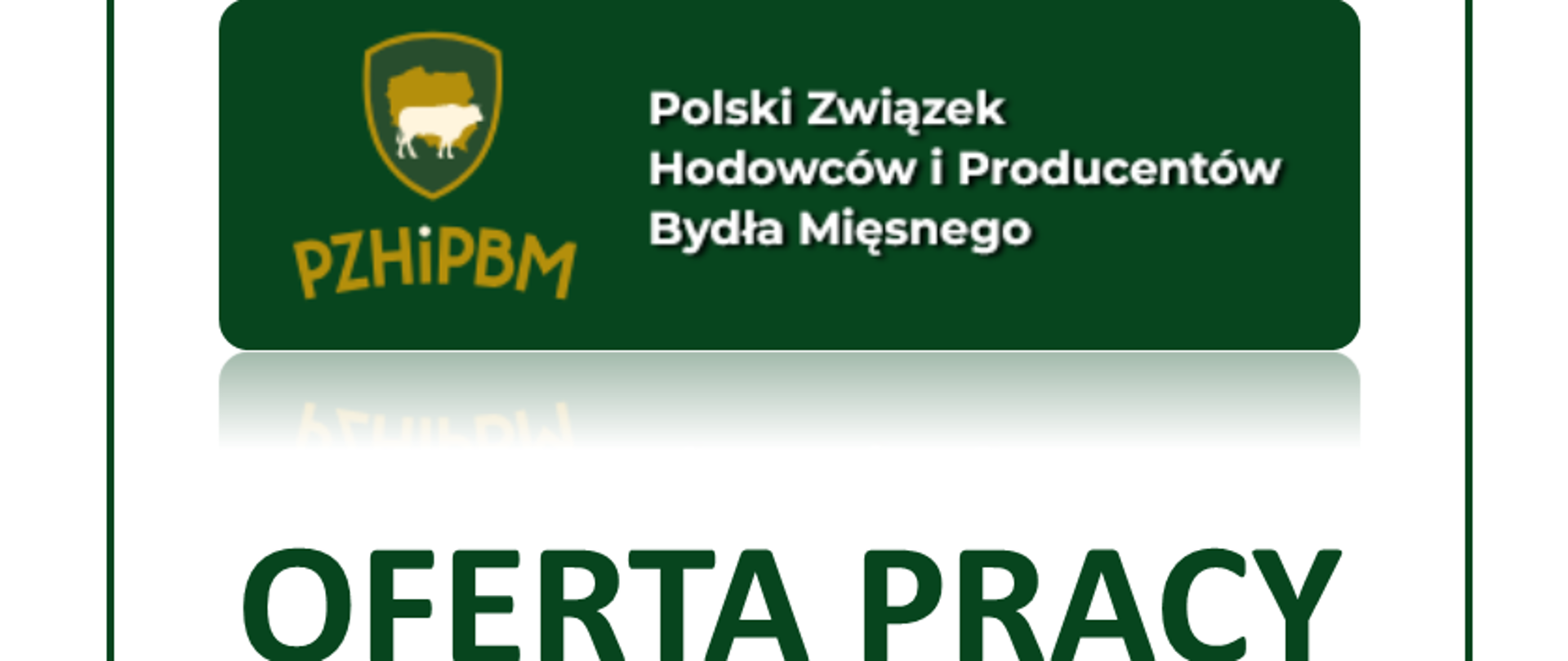 oferta pracy