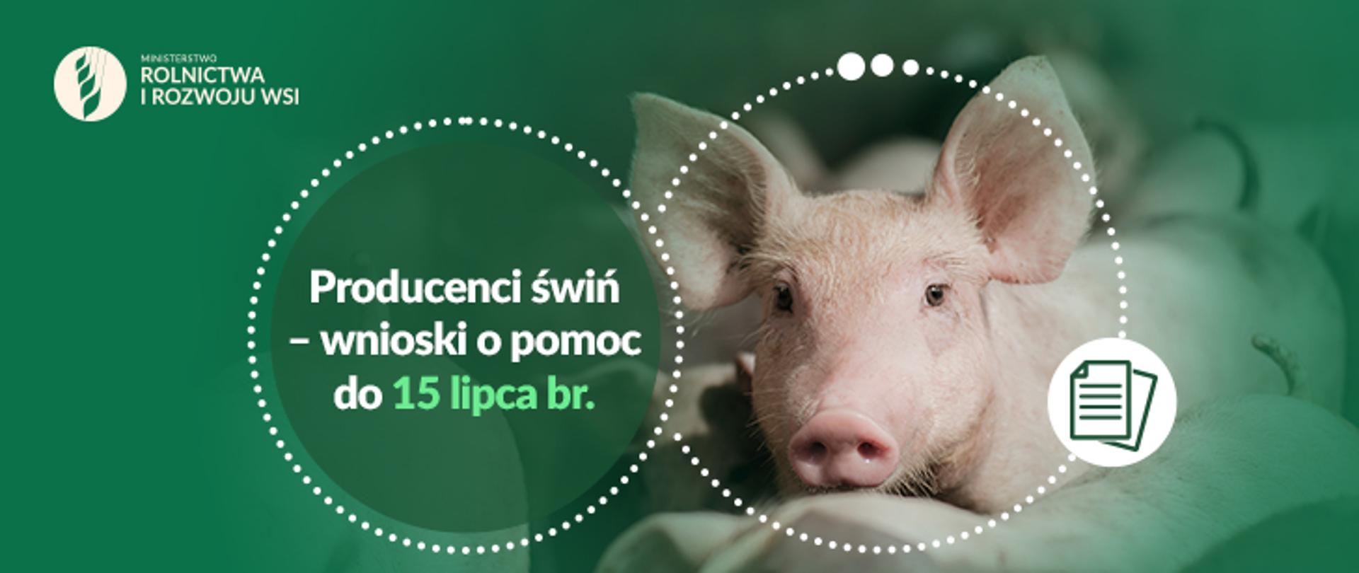 Infografika - pomoc finansowa dla producentów świń 